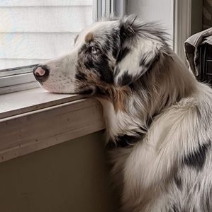 Meet your Posher, Barbara